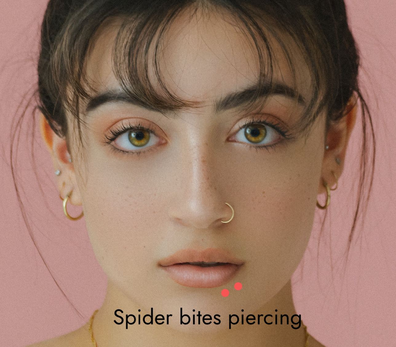 spider bites piercing: cost, healing, pain, jewelry, aftercare